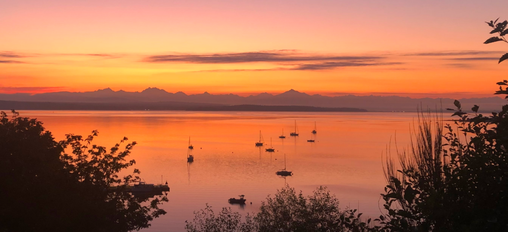 Boats in a harbor in Saratoga Passage
